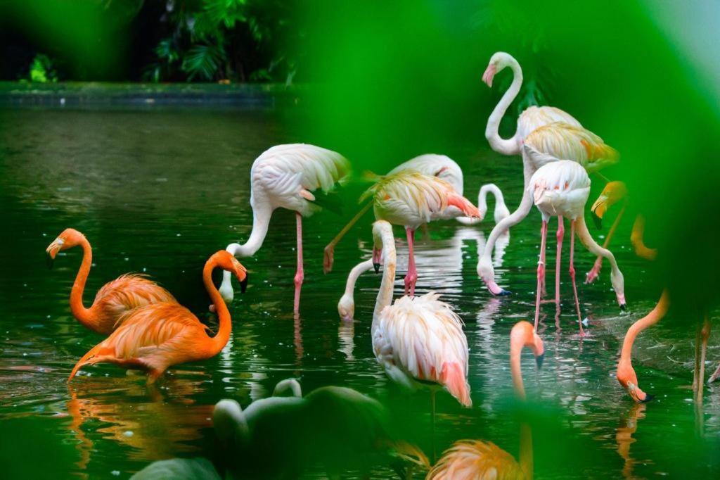 Lake Piedmont International Hotel Quảng Châu Ngoại thất bức ảnh